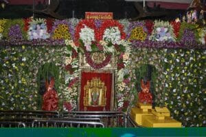 ఇంద్రకీలాద్రిపై దసరా సందడి.. ఈసారి ప్రత్యేకతలు ఇవే
